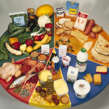 Diet and Nutrition
